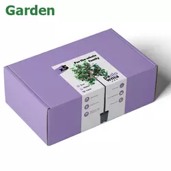 Набір для вирощування Павловнії Paulownia Box Garden
