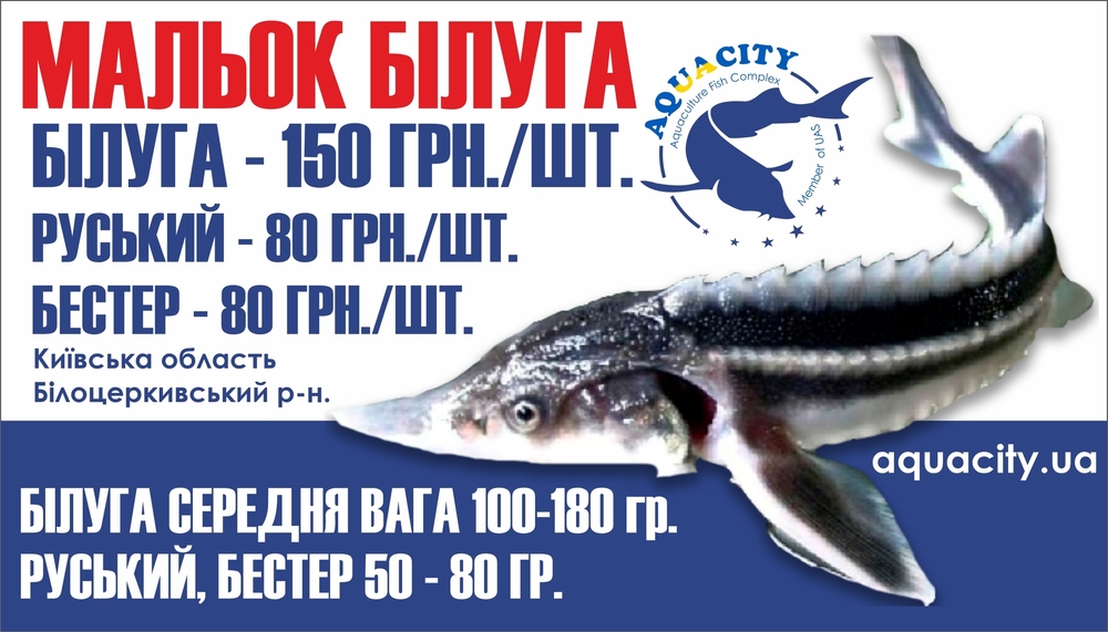 Көптеген қыздарға арналған бір сиқыр