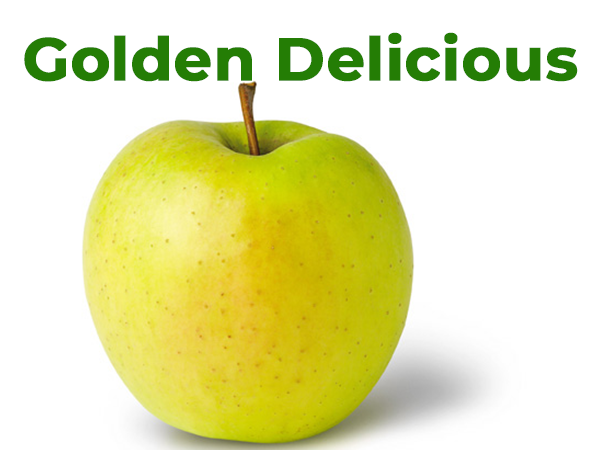 «Великолепная десятка»: лучшие летние сорта яблонь