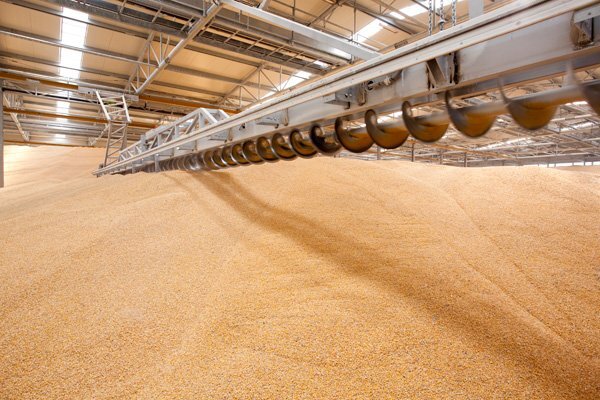 Хранение зерна: как обеспечить правильное хранение на складе